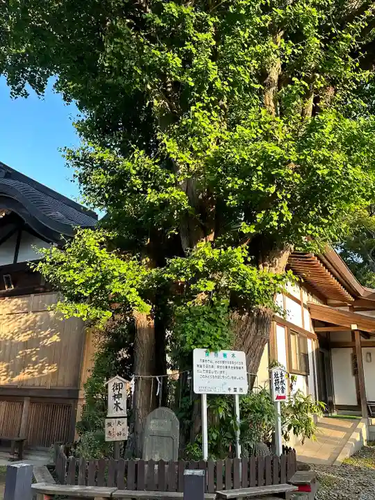 登渡神社(千葉県)
