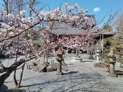 穴太寺(京都府)