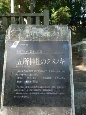 五所神社のその他建物