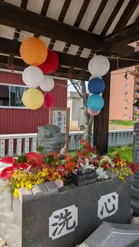 新川皇大神社の手水