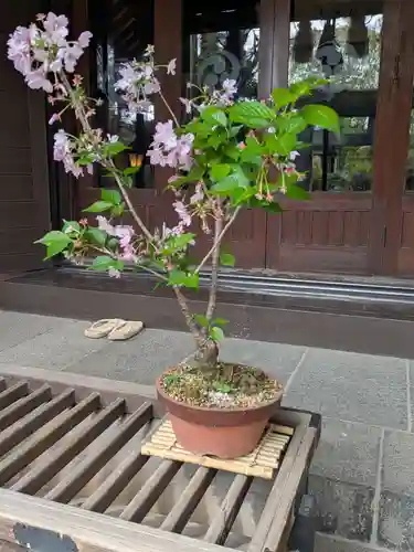 江東天祖神社(東京都)