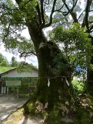 鮭神社(福岡県)