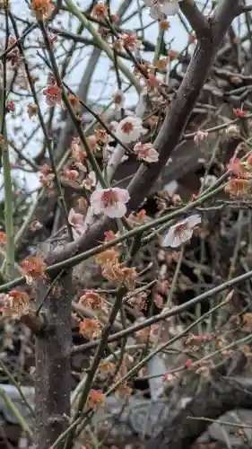 興聖寺(京都府)