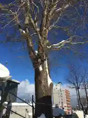 龍宮神社の自然