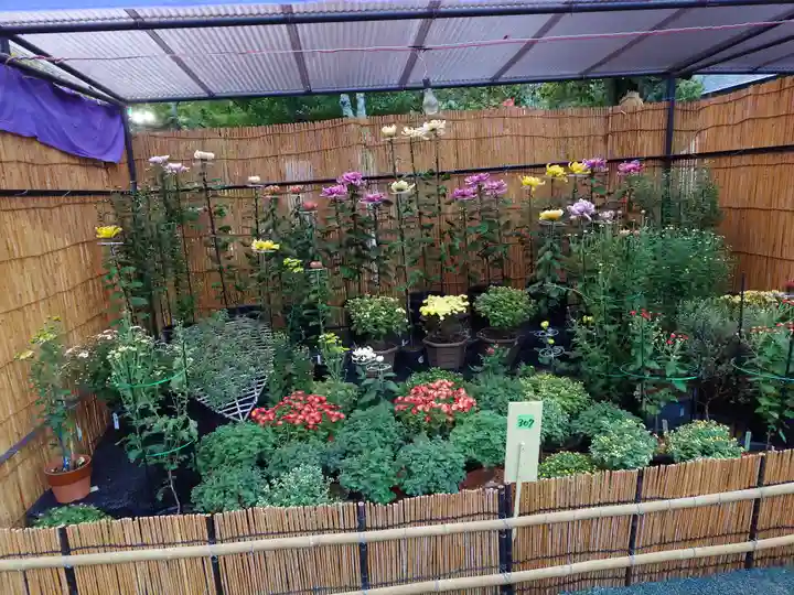 宗像大社(福岡県)