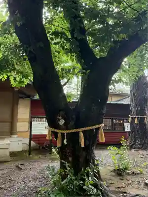 前原御嶽神社(千葉県)