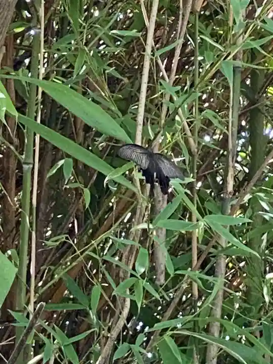 羽豆神社(愛知県)
