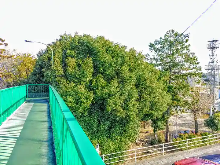 神明社(岩藤神明社)の自然
