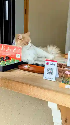 駒込妙義神社の動物