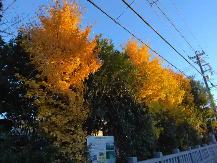 矢向日枝神社(神奈川県)