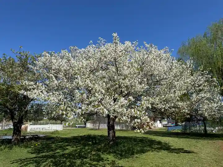 布施弁天 東海寺(千葉県)