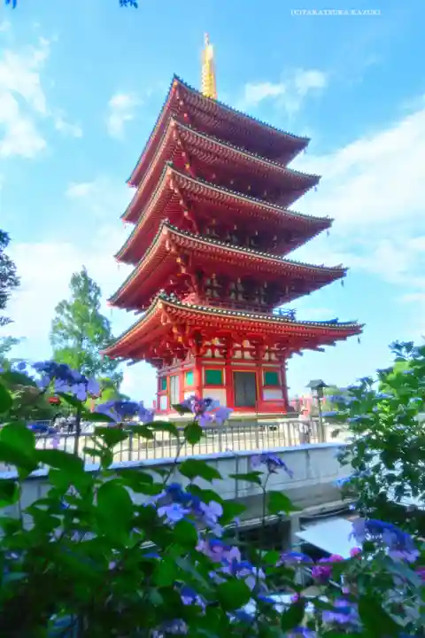 高幡不動尊 金剛寺(東京都)
