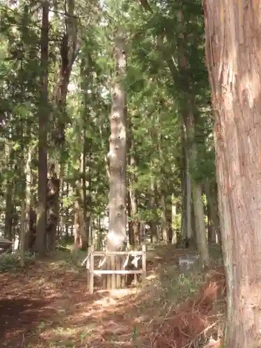 諏訪大社下社秋宮のその他建物