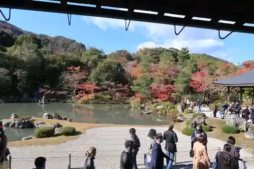 天龍寺の庭園