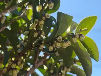 西方山極楽寺(岐阜県)
