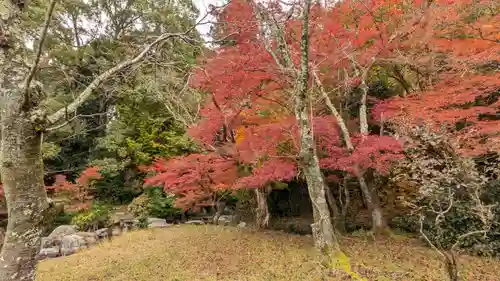 三宅八幡宮(京都府)