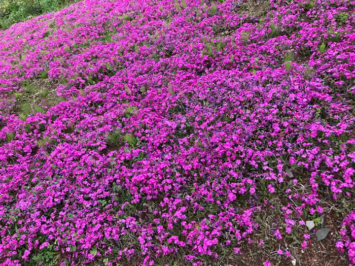 東本願寺本廟 牛久浄苑(牛久大仏)の自然