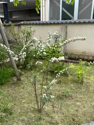 秩父札所十三番 慈眼寺(埼玉県)