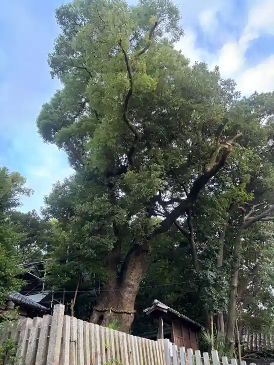 七所神社(愛知県)
