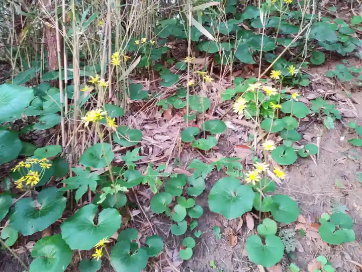 愛宕神社のその他建物