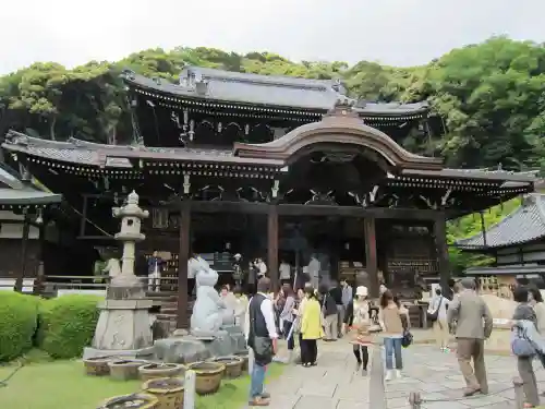 三室戸寺の本殿・本堂