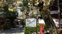 七社神社の自然