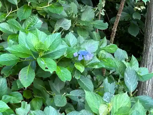 常光寺(長野県)