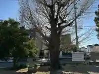 王子和多津美神社の庭園
