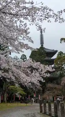 醍醐寺(京都府)