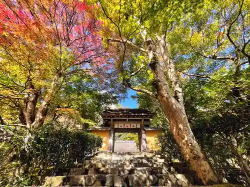 寂光院の山門