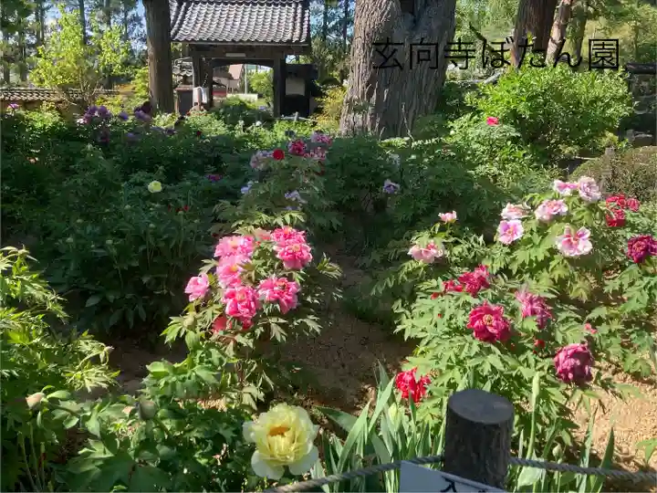 玄向寺(長野県)