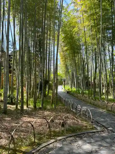 修禅寺(静岡県)