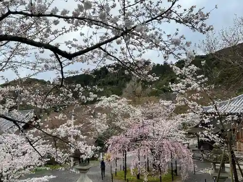 清水寺(京都府)