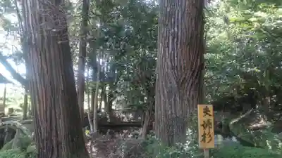 亀都起社の自然