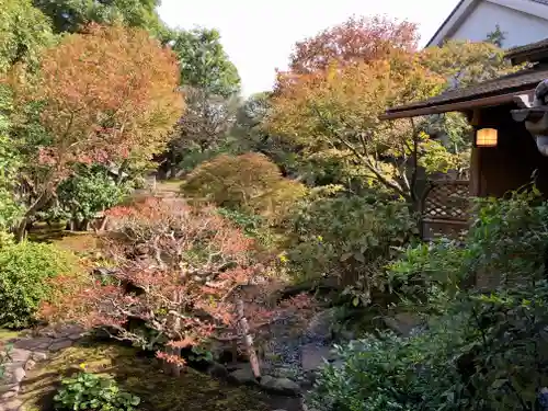 観智院（東寺子院）の庭園