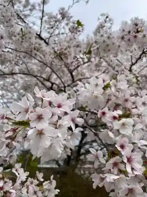 了仙寺(静岡県)