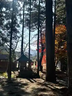 柳津虚空蔵尊 寳性院の{uncategorized: "未分類", other: "その他", undefined: "問題あり", building: "その他建物", grave: "お墓", sacred_gate: "鳥居", guardian: "狛犬", statue: "像", buddha: "仏像", history: "歴史", nature: "自然", garden: "庭園", animal: "動物", pagoda: "塔", temizu: "手水舎", mountain_gate: "山門・神門", sanctuary: "本殿・本堂", subordinate: "末社・摂社", art: "芸術", scenery: "景色", jizo: "地蔵", ema: "絵馬", goshuin: "御朱印", omikuji: "おみくじ", items: "授与品その他", amulet: "お守り", goshuincho: "御朱印帳", eats: "食事", festival: "お祭り", votive_dance: "神楽", shichigosan: "七五三参", wedding: "結婚式", experience: "体験その他", initially: "初詣", around: "周辺", anti_infection: "感染症対策"}