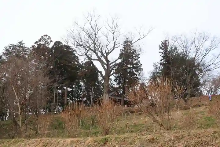 阿久津「田村神社」(郡山市阿久津町)旧社名:伊豆箱根三嶋三社の景色