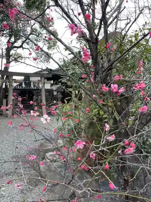 生根神社(大阪府)