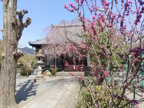 大蔵院(群馬県)