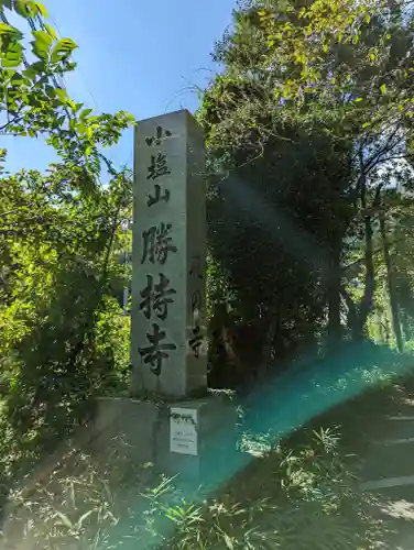 勝持寺（花の寺）(京都府)