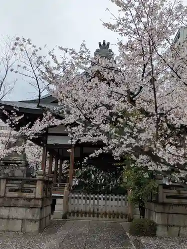天孫神社(滋賀県)
