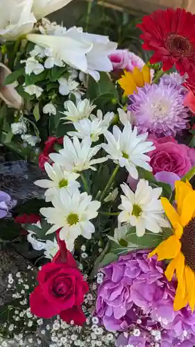 勝林寺(京都府)