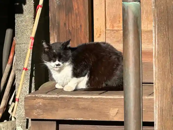 生麦水神宮(神奈川県)