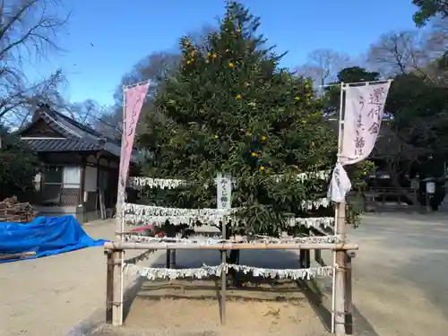 廣瀬大社(奈良県)