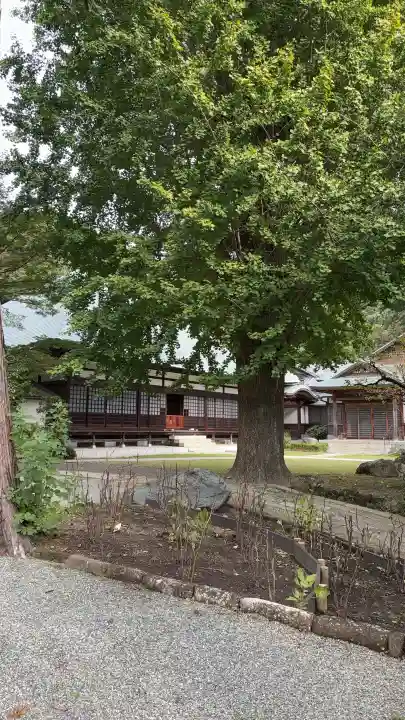 浄妙寺(神奈川県)