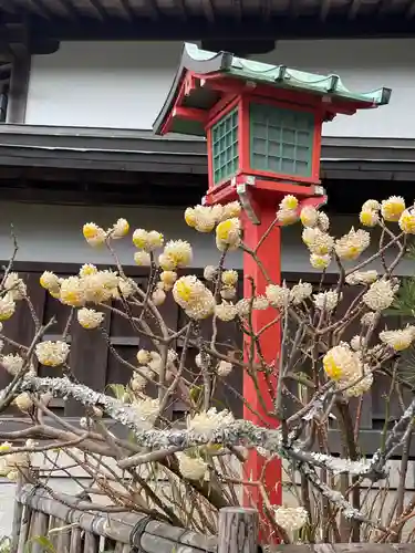 荏柄天神社の自然