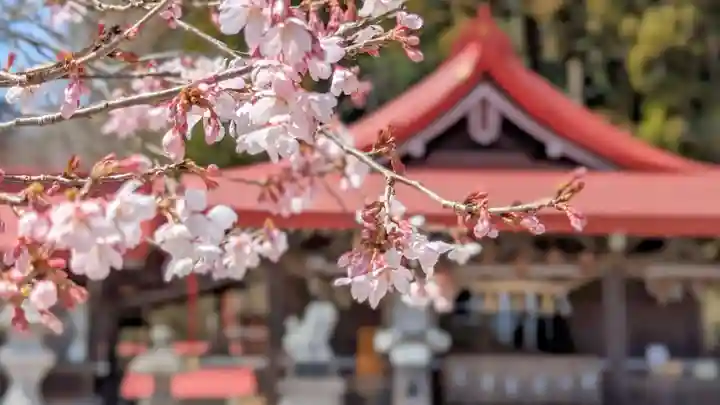 金蛇水神社(宮城県)