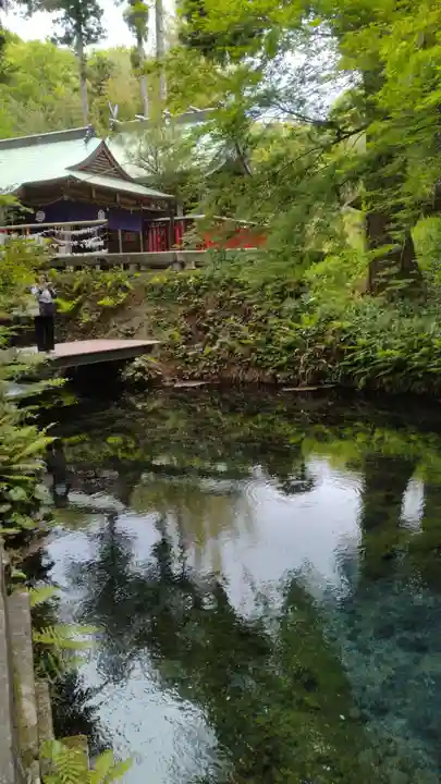 白川吉見神社(熊本県)