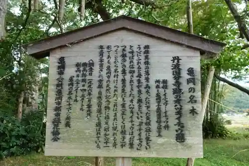 国分寺の歴史